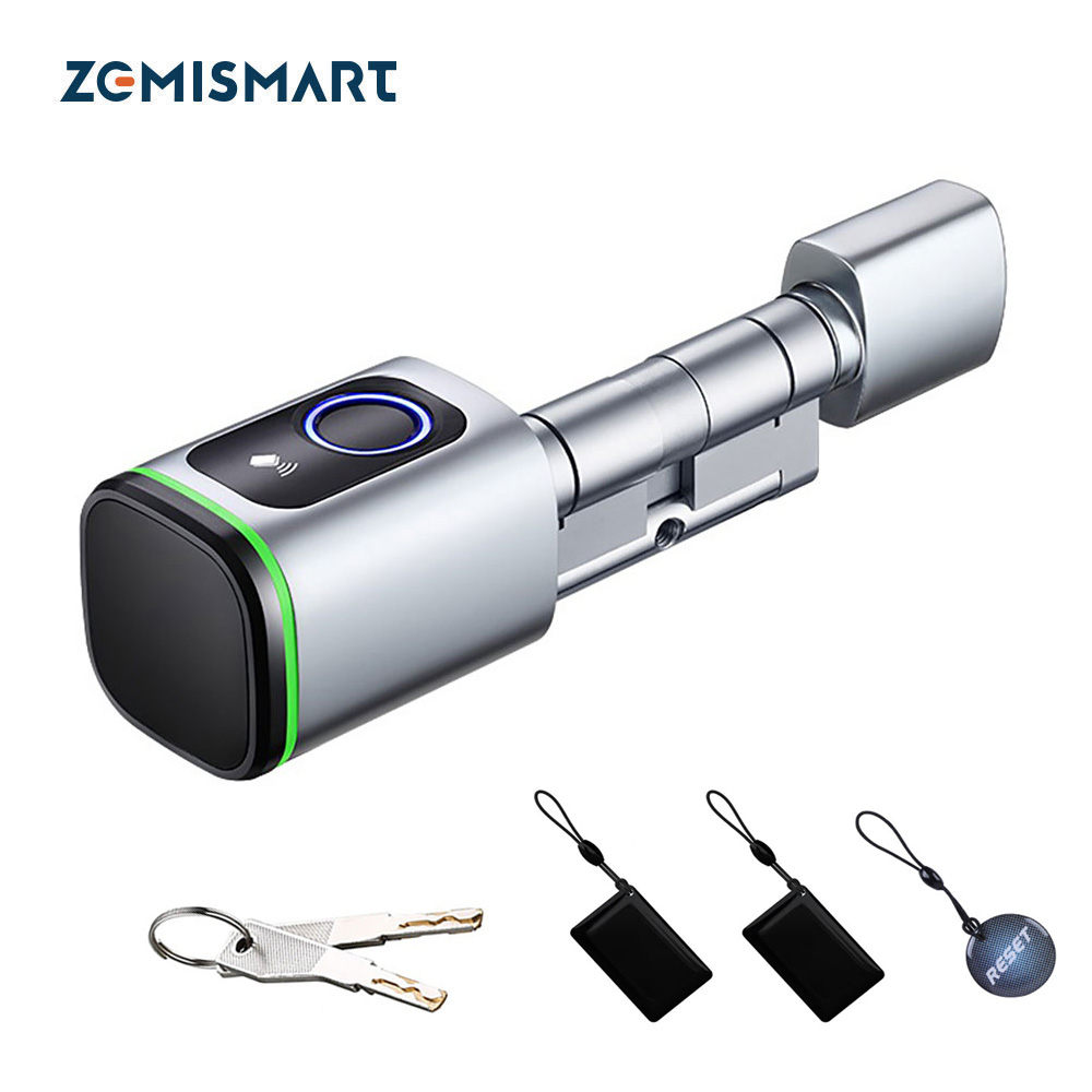 Smart Garden Gate Lock - Zemismart BLE Serratura elettronica intelligente Funziona