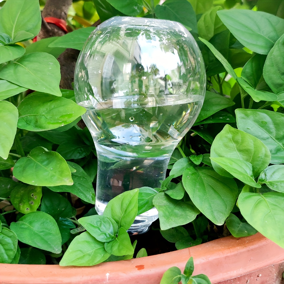 Strumento di irrigazione autom - Smart Garden Kit recensione e prezzo