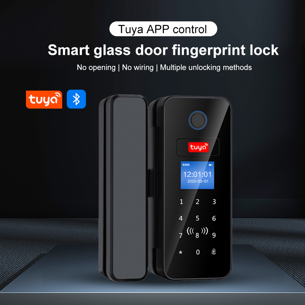 Serratura per porta in vetro i - Smart Garden Gate Lock recensione e prezzo