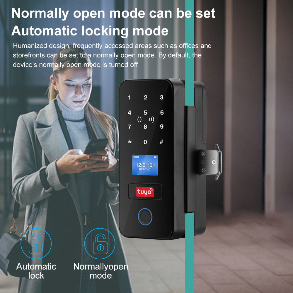 Serratura per porta in vetro i - Smart Garden Gate Lock recensione e prezzo