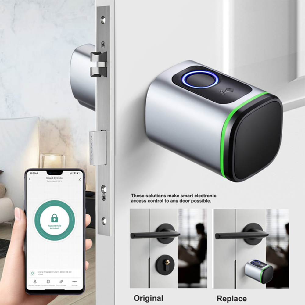Zemismart BLE Serratura elettr - Smart Garden Gate Lock recensione e prezzo